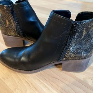 Steve Madden Luna booties